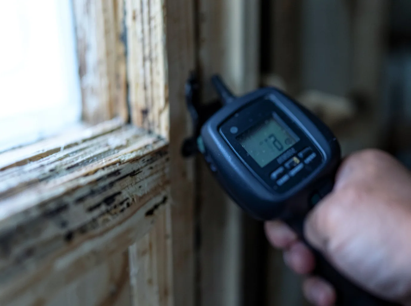 Moisture Inspection And Documentation in Burlington, CT
